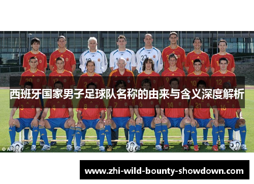 西班牙国家男子足球队名称的由来与含义深度解析