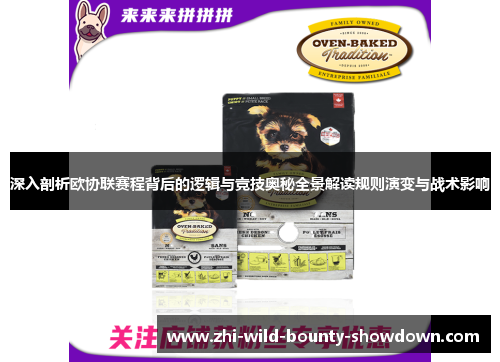 深入剖析欧协联赛程背后的逻辑与竞技奥秘全景解读规则演变与战术影响 深入剖析欧协联赛程背后的逻辑与竞技奥秘全景解读规则演变与战术影响