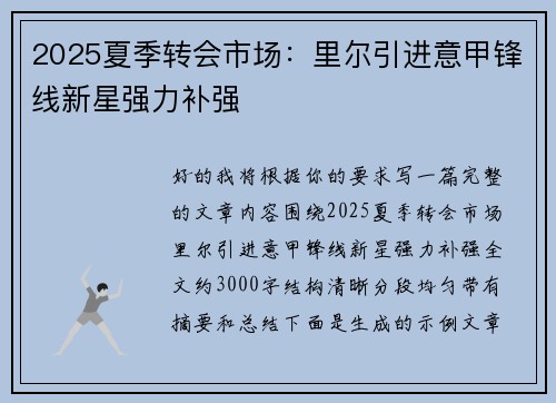 2025夏季转会市场：里尔引进意甲锋线新星强力补强